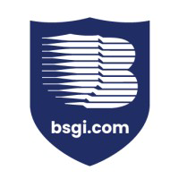 Berkshire Systems Group Inc. logo