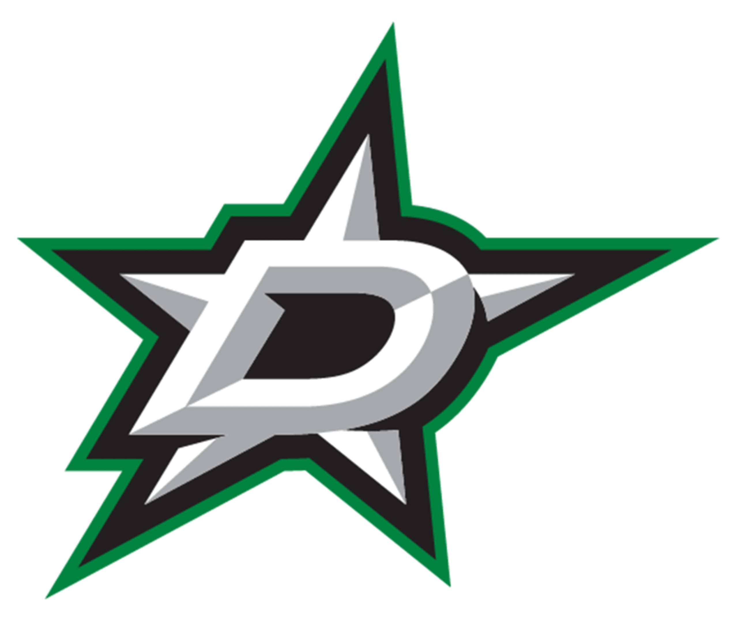 Dallas Stars Elite Hockey Club logo