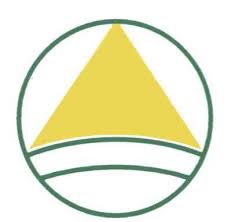 Chesterfield Services, Inc. logo