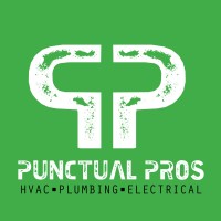 Punctual Pros logo