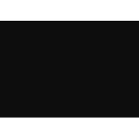 NYX, LLC logo