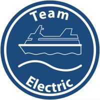 Team Electric Group logo
