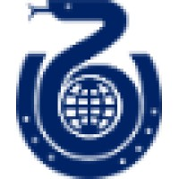 Illinois Virtual Schools & Academy logo