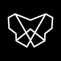 Vindelici Advisors logo