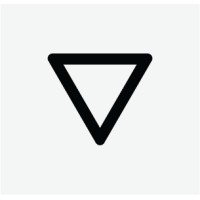 Brightvision logo