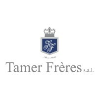 Tamer Group logo