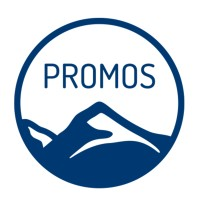 PROMOS consult GmbH logo