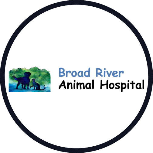 Broad River Animal Hospital logo