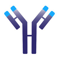 Immunovant, Inc. logo