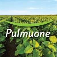 Pulmuone logo