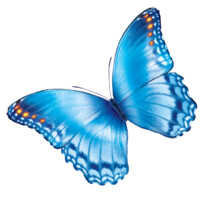 Nationwide Children’s Hospital logo