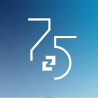 Zeppelin Group logo