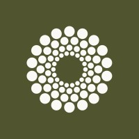 Cocoon logo