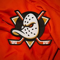 Anaheim Ducks Hockey Club logo