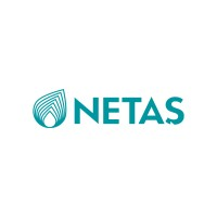 Netas Telekomünikasyon A.S. logo