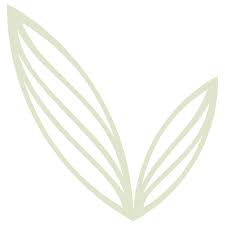 Groupe Vitae logo