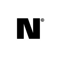 NEMESIS CORPORATION logo