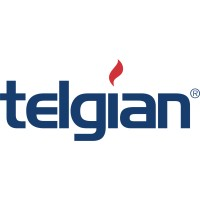 Telgian Engineering & Consulting logo