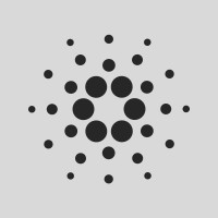 Cardano Foundation logo