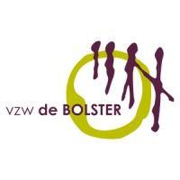 vzw De Bolster logo
