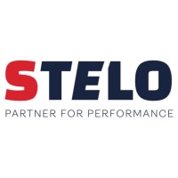 STELO GROUP logo