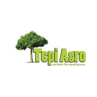 Tepi Agro Investment Co., Ltd logo