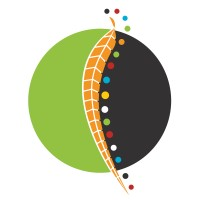Bidgerdii Community Health Service logo