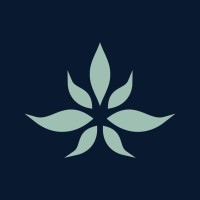 The Cannabist Company