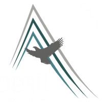 Summit Federal Services, LLC (SFS)