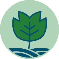 Town of Chapel Hill