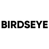 Birdseye Security Solutions logo